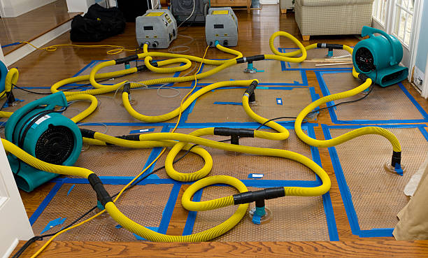 Professional Crawl Space Water Removal technician working in Holden, UT